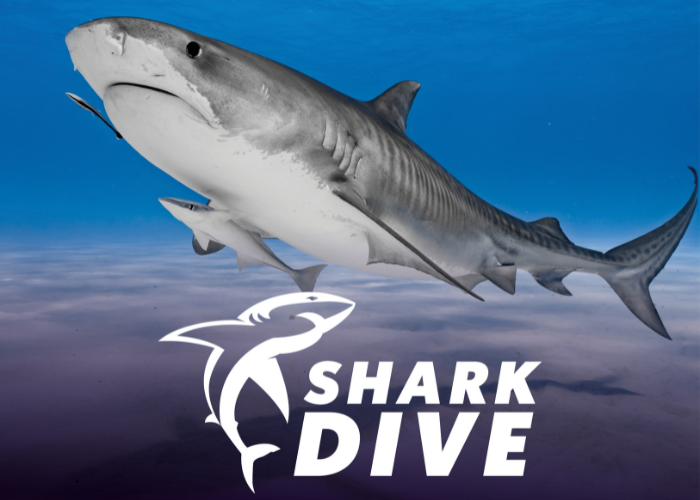 Webgraphic 700X500 VR Sharkdive