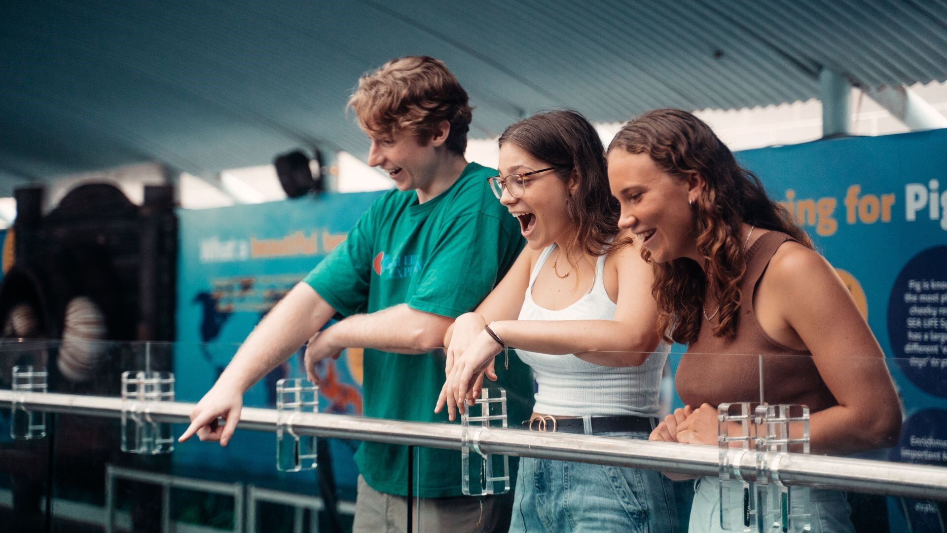 schools at sea life sydney