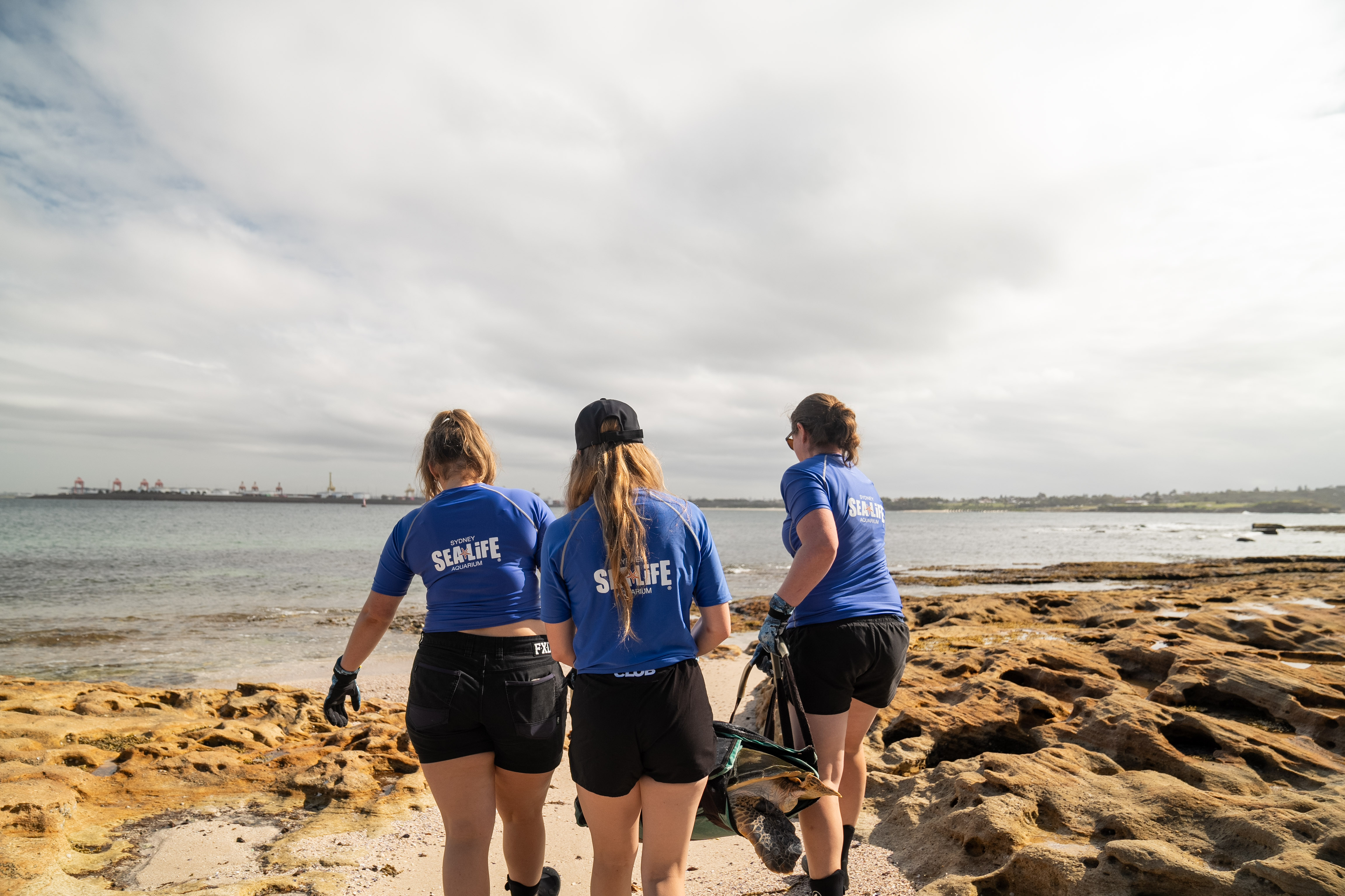 SEA LIFE Rescue Team Carrying Taren To The Water At Kurnell 2