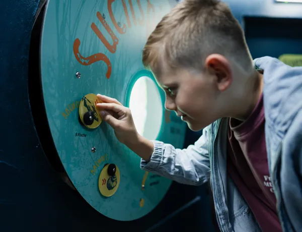 NABU: "Die Ostsee - einzigartig & bedroht"