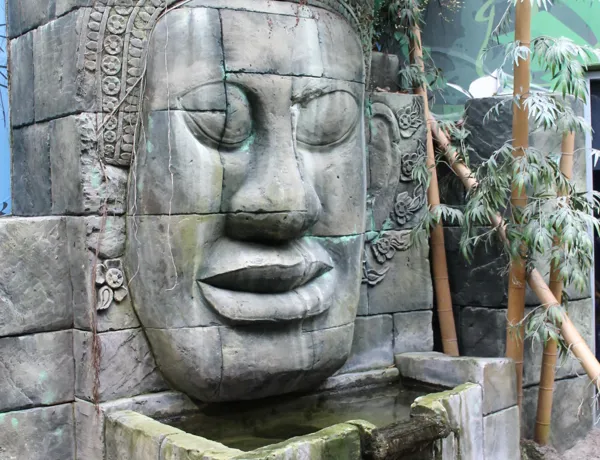 Regenwaldbereich 1 Min