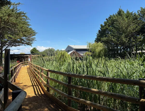 SEA LIFE Weymouth Wetland trail