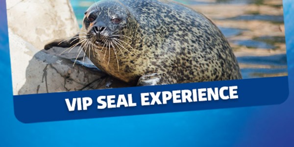 VIP Experiences | SEA LIFE Weymouth Aquarium