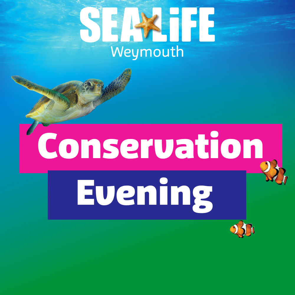 Conservation Evening World Oceans Week Square (6)