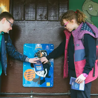 Creature Sensory Boards